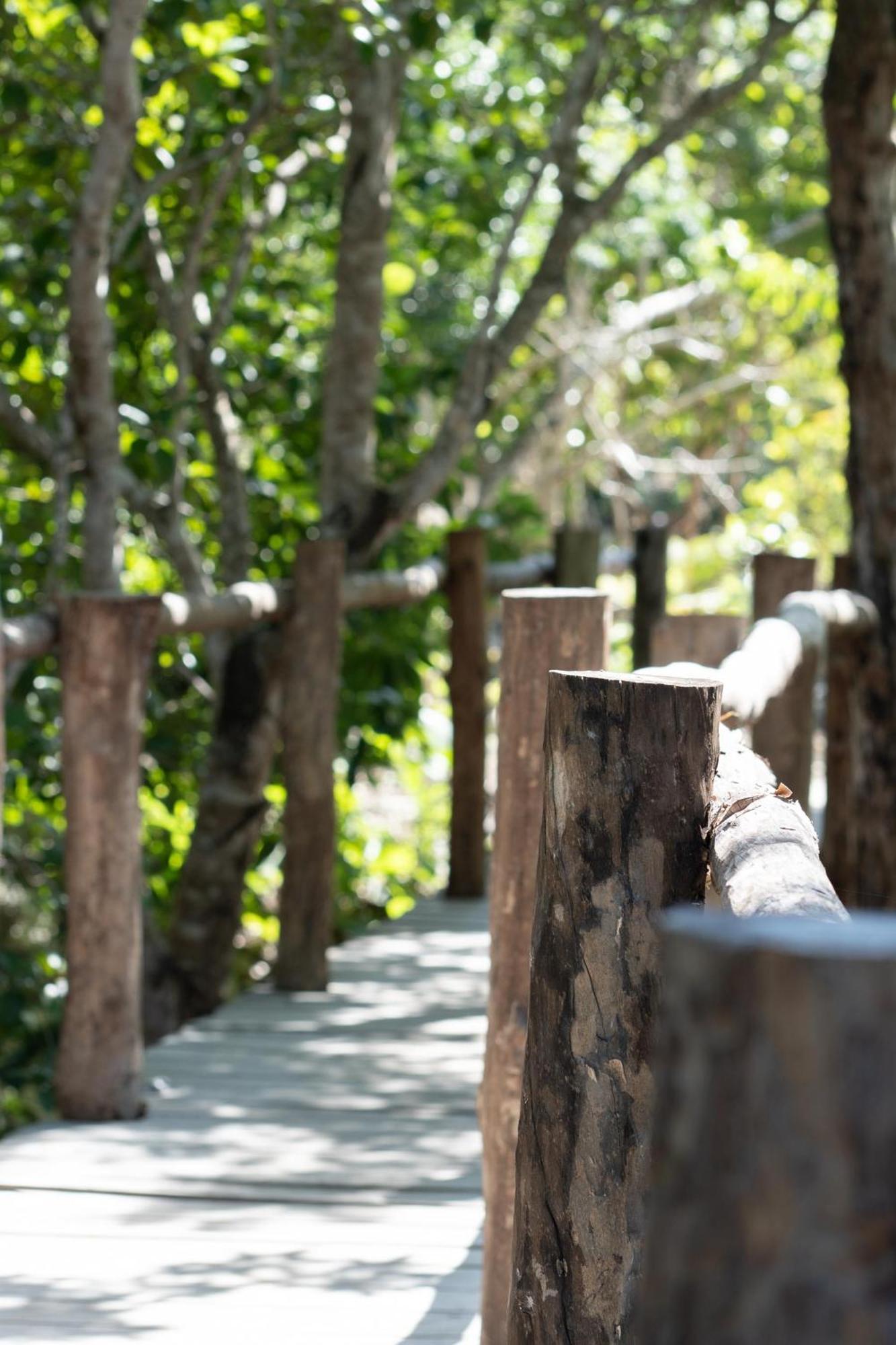 Pepem Holistic Experience - Peaceful Retreat Near Tulum (Adults Only) Villa Exterior photo